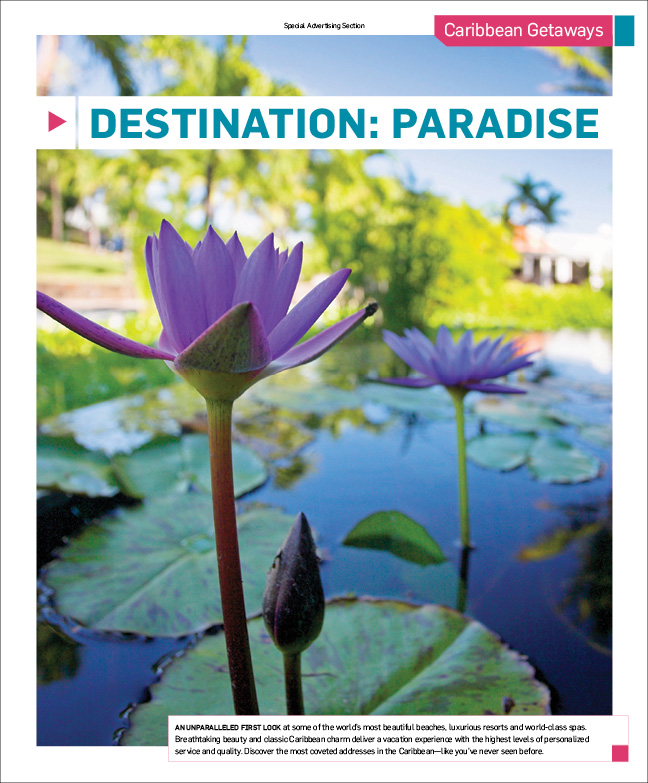 "Destination: Paradise" opener: purple water lilies on a lily pond.